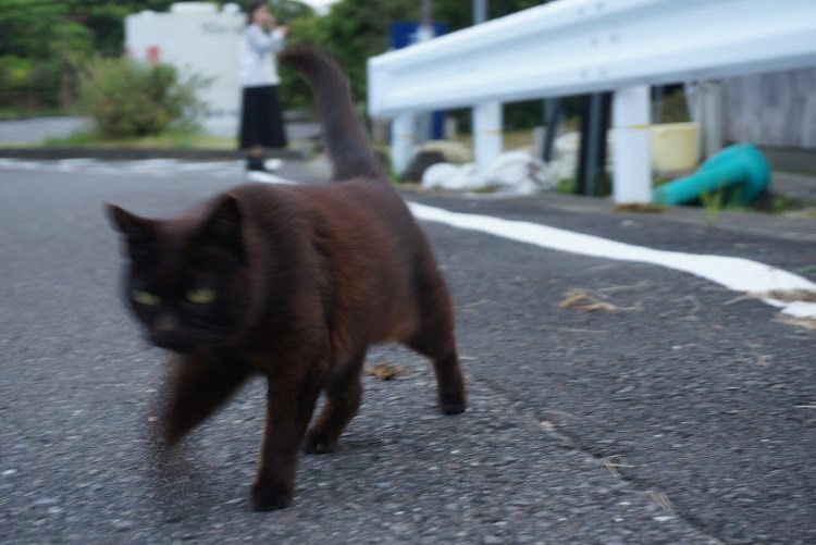 の投稿画像20枚目