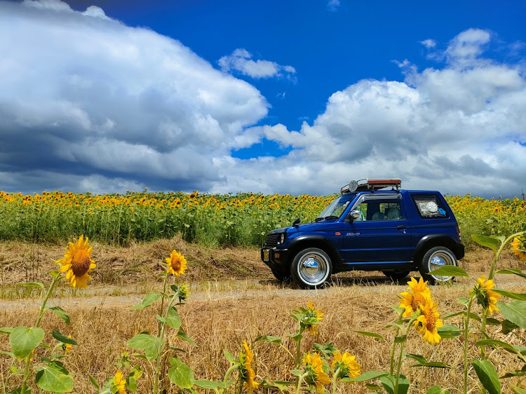 パジェロミニのパジェロミニとお散歩・お花と一緒に・ひまわり畑🌻に関するカスタム事例の投稿画像5枚目