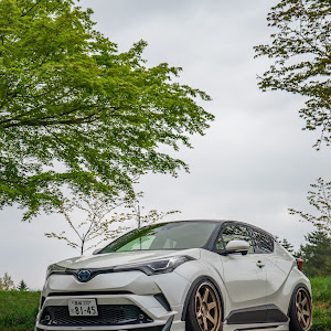 C-HR ZYX10