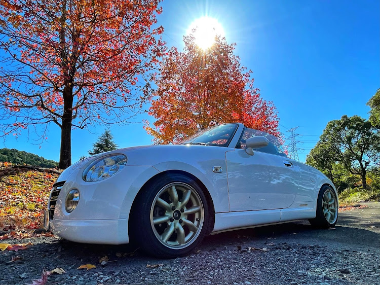 コペンの紅葉と愛車・紅葉ドライブ・紅葉・並木路・いつもイイネ&コメントありがとうございます🙇‍♂️に関するカスタム事例の投稿画像1枚目