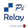 Raspberry Pi Relay  icon