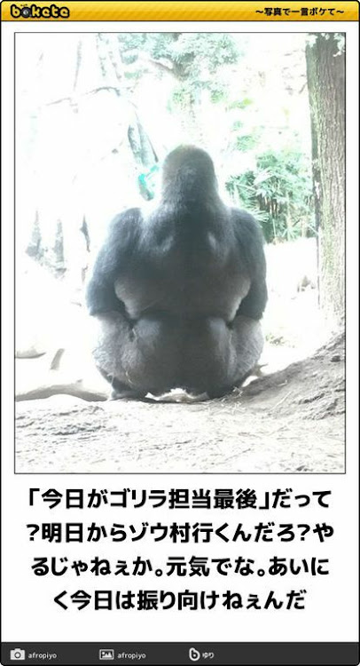 の投稿画像5枚目