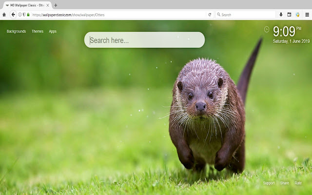カワウソのhdの壁紙新しいタブのテーマ