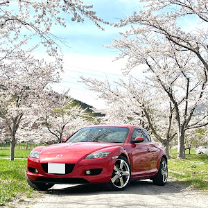 RX-8 SE3P