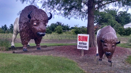 Where The Buffalo Roam Monument