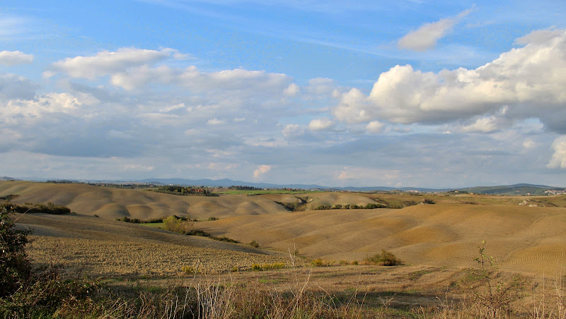 Rotolando nelle crete senesi di silvia_tamburini