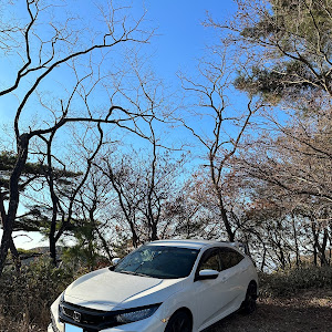 シビック FK7