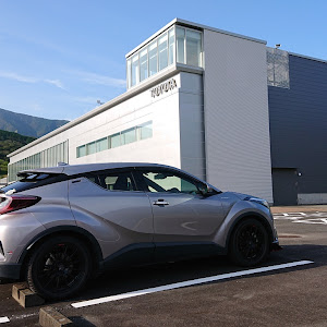 C-HR ZYX10