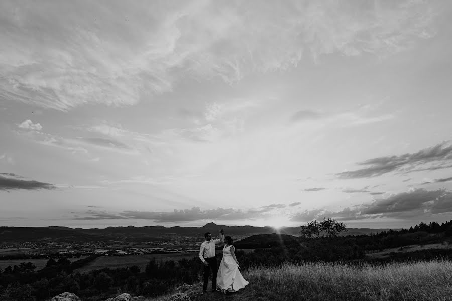 Wedding photographer Bertrand Roguet (piranga). Photo of 9 August 2022