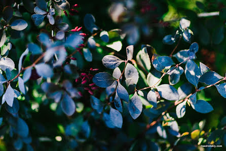 Wedding photographer Maksim Troickiy (maxtroitskiy). Photo of 31 May 2019