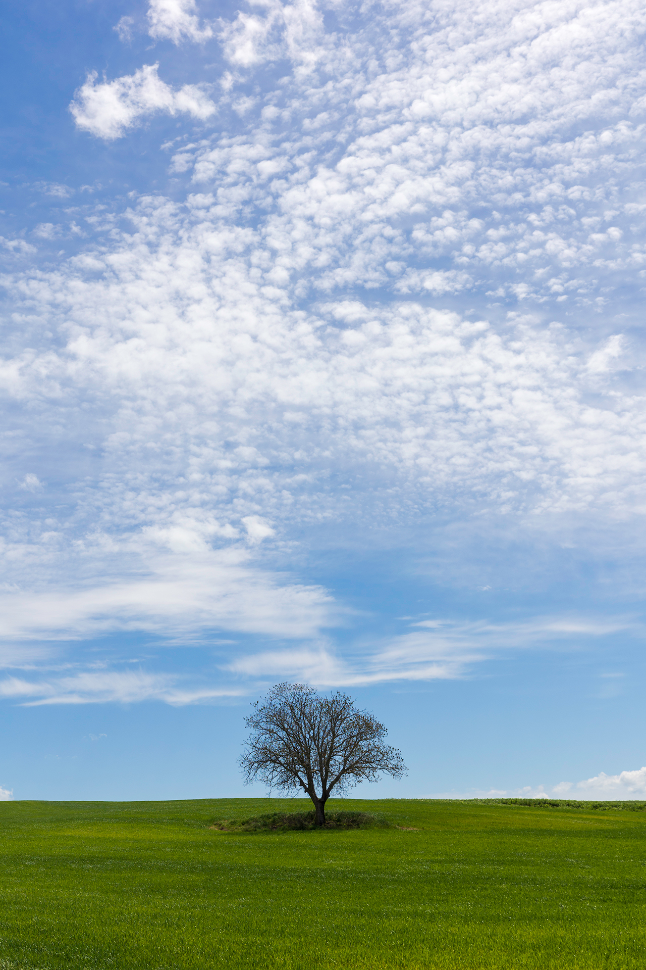 Tra cielo e terra di lurick