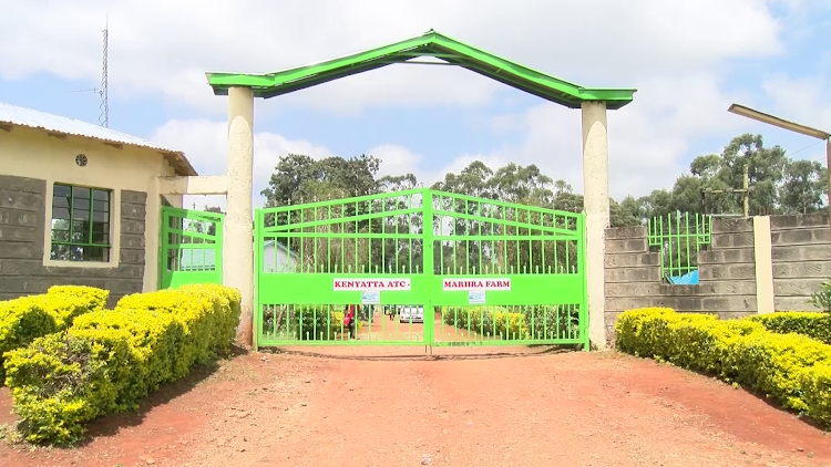 Murang'a University of Science and Technology Mariira campus.