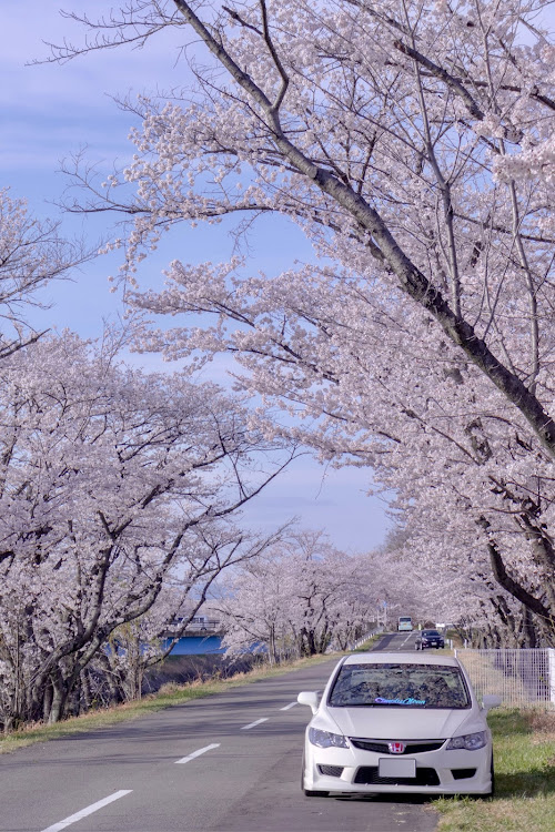 の投稿画像1枚目