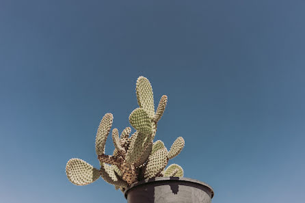 Wedding photographer Gianfranco Traetta (traetta). Photo of 25 November 2022