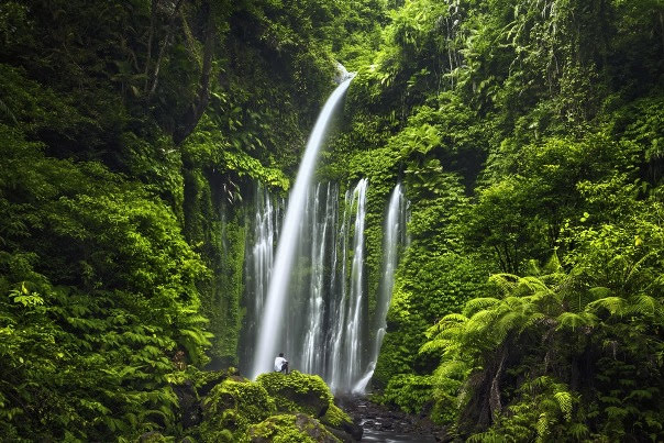 Tiu Kelep Waterfall - Férias em Lombok