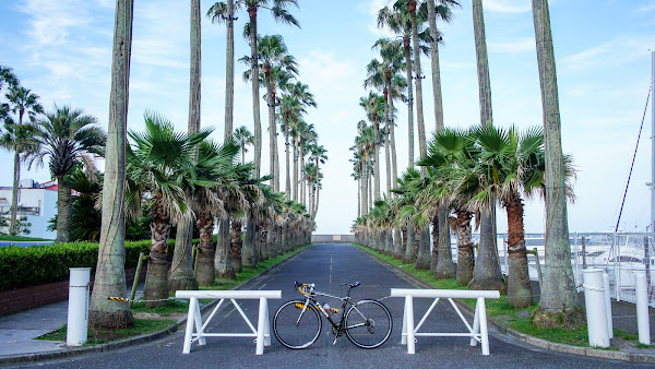 自転車 江ノ島ライド Trek Madone