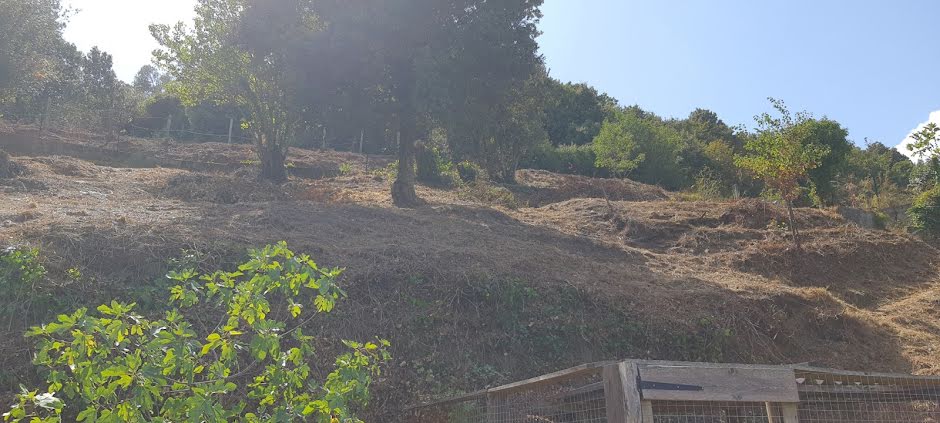 Vente terrain  2076 m² à Sartene (20100), 99 000 €