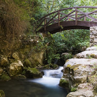 Acquafonte di vita di 