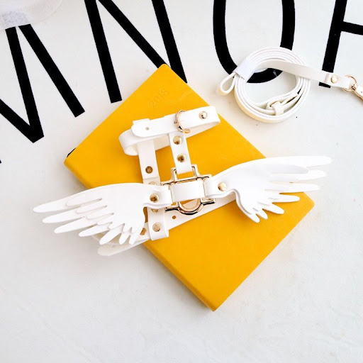 Title 11, Victorias Secret Cute Pet Chain Enjoy stylish ...