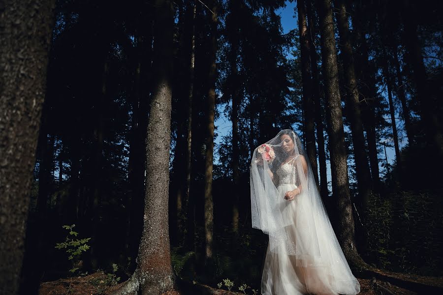 Svatební fotograf Evgeniy Tayler (ilikewed). Fotografie z 12.prosince 2020