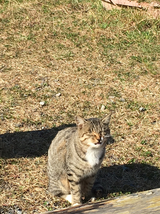 の投稿画像5枚目