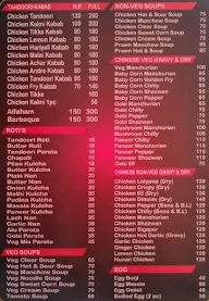 Tandoori Ghar menu 4