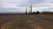 Laubscher Coetzee’s farm in Oudtshoorn in November 2019. 