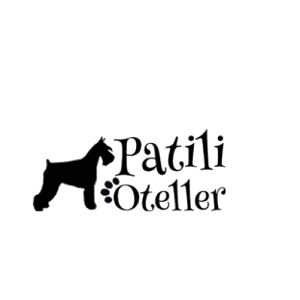 Download Patili Oteller For PC Windows and Mac