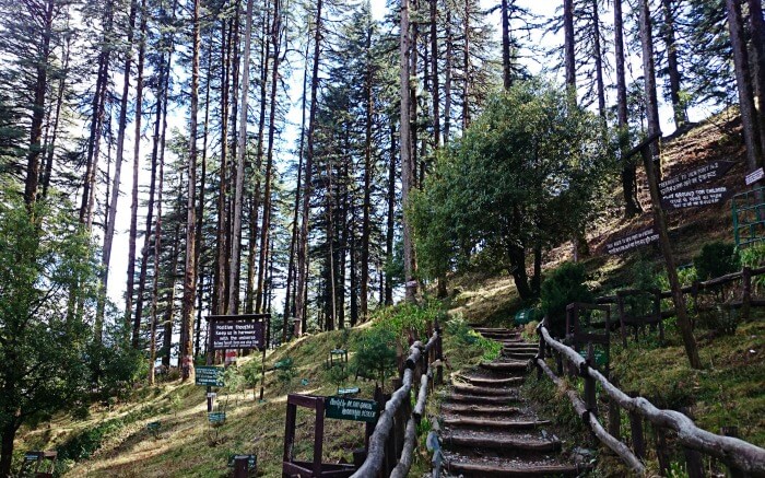 travelogged-26-places-to-visit-dhanaulti-eco-parks_image