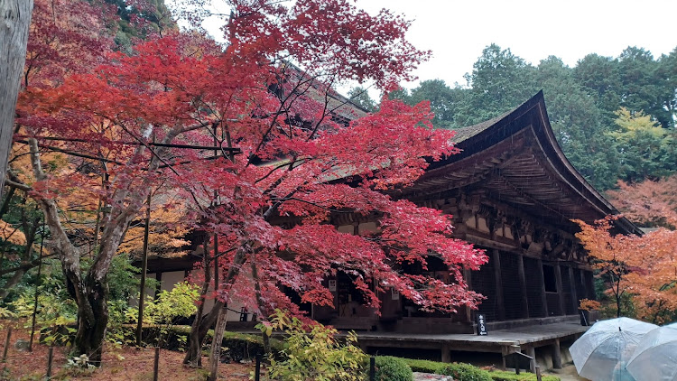ジムニーの金剛輪寺・紅葉🍁ドライブ・ジムやん❗😊に関するカスタム事例の投稿画像9枚目