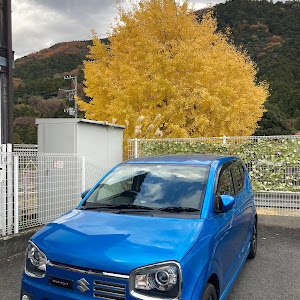 アルトワークス HA36S