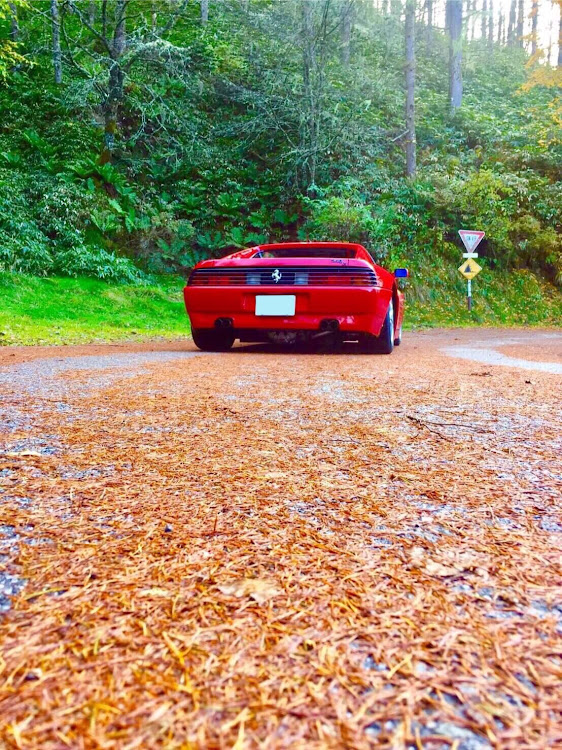 Toprun 1さんが投稿したビーナスライン・信州・紅葉に関するカスタム事例の投稿画像1枚目