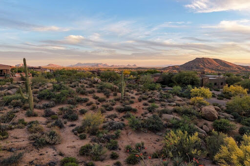 Desert landscape with cacti and mountains - Luxury land for sale in Scottsdale