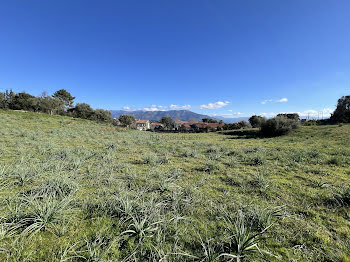 terrain à batir à Afa (2A)