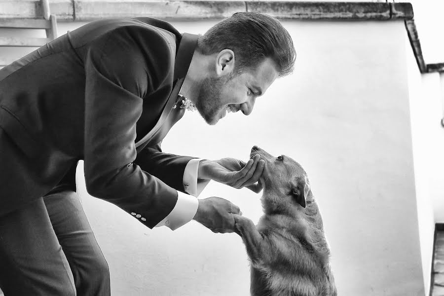 Φωτογράφος γάμων Alessandro Spagnolo (fotospagnolonovo). Φωτογραφία: 22 Φεβρουαρίου 2017