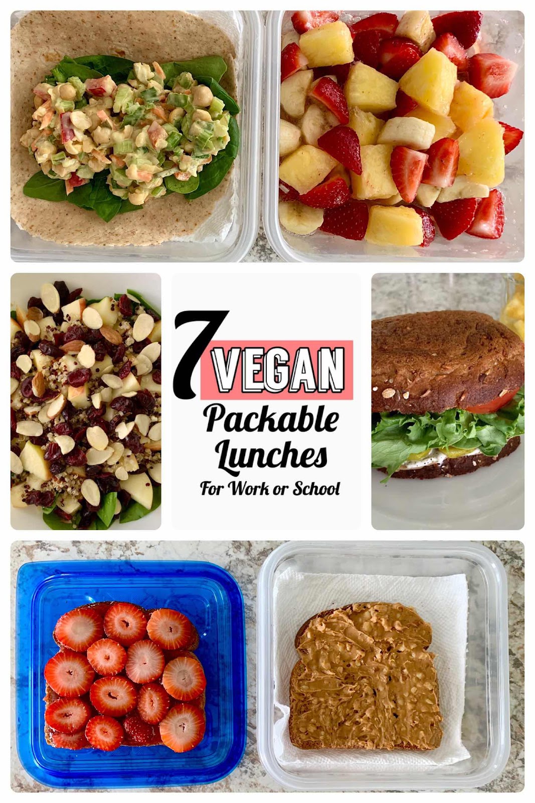 7 Vegan Packable Lunches for Work or School