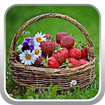 Cover Image of Download Basket of strawberries DIY 1.0 APK