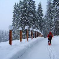 Camminare nel silenzio di 