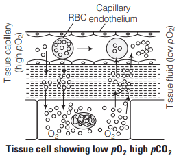 Solution Image