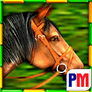 Gallop for Gold Slots Mod apk son sürüm ücretsiz indir