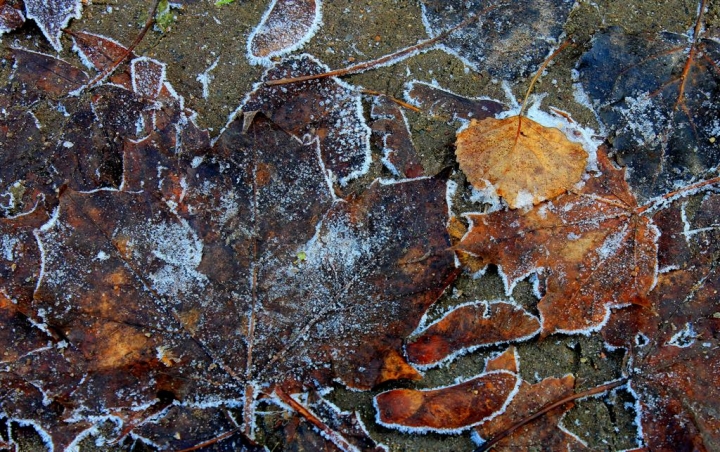 Der Herbst in Berlin di fossabanda