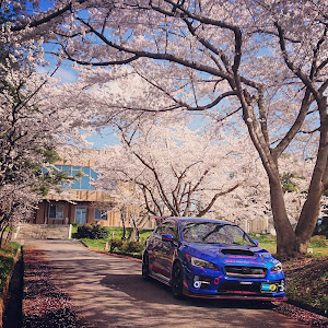 WRX STI VAB