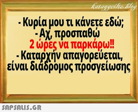 - Κυρία μου τι κάνετε εδ ; 2ρες να παρκάρω! . Καταρχήν απαγορεύεται είναι διάδρομος προσγείωσης