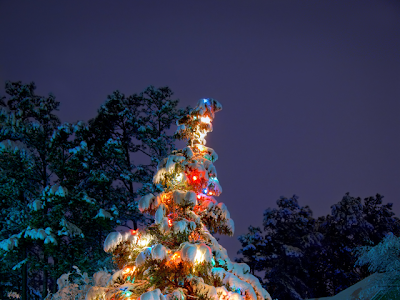 【2021年の最高】 クリスマス ツリー 壁紙