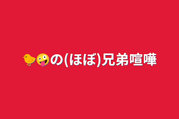 🐤🤪の(ほぼ)兄弟喧嘩