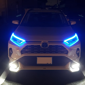 RAV4 AXAH54