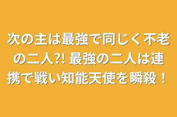 次の主は最強で同じく不老の二人?!  前世の記憶を持っている主二人と十六人の執事