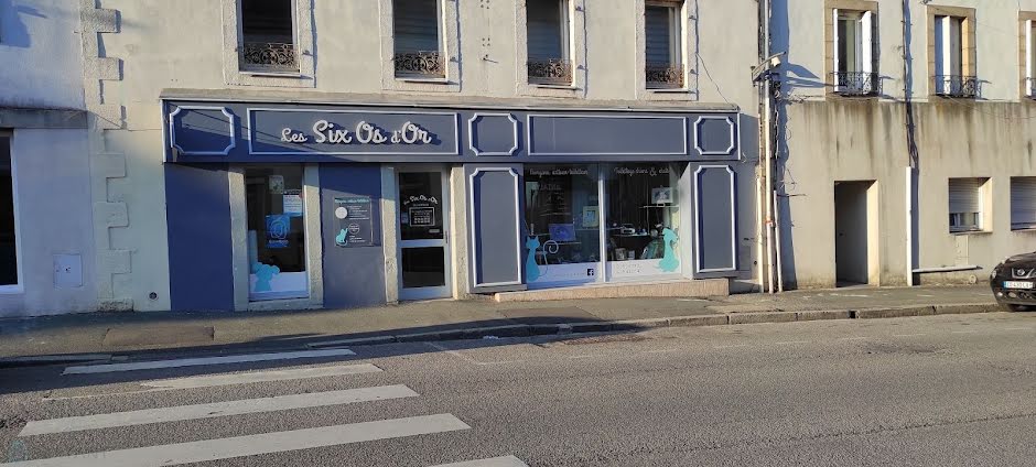 Vente locaux professionnels  90 m² à Carhaix-Plouguer (29270), 50 500 €