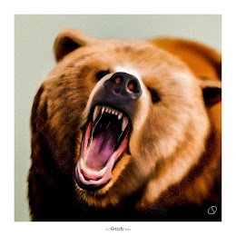 (CC) #005 / Grizzly