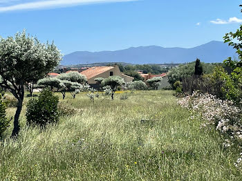 terrain à Saint-Estève (66)